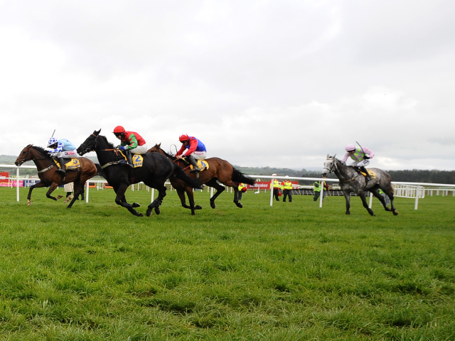 It's the second day of the Punchestown Festival